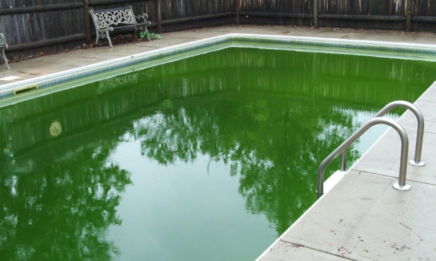 Come evitare la formazione di alghe in piscina in inverno?
